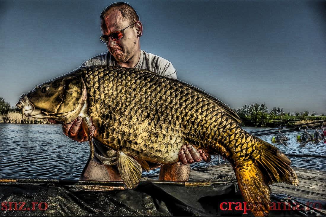 Trofeul Tancabesti (2) - 2013 - 1010316hdrmode2.jpg